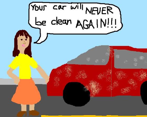 Your car will never be clean again!!!
