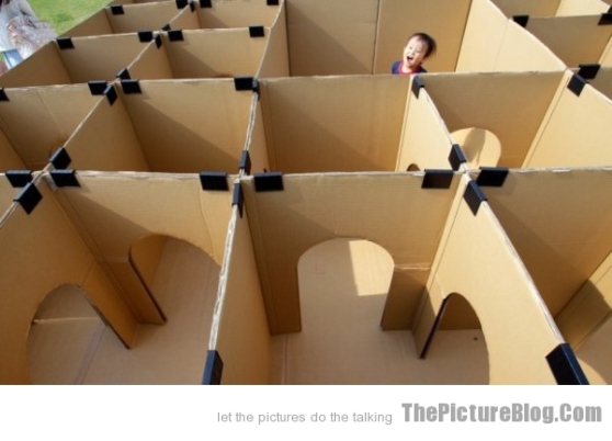 Maze-made-from-cardboard-boxes